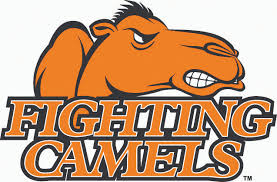 fighting camels